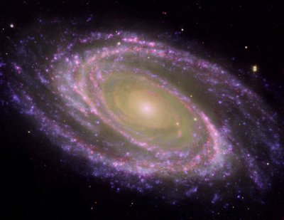 Spiral Galaxy M81, tilted at an oblique angle on to terrestrial line of sight, viewed in Multiwavelength light by National Aeronautics and Space Administration National Aeronautics and Space Administration